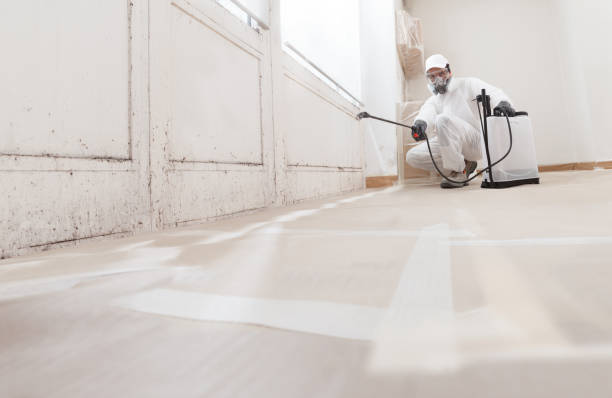 24/7 Emergency Attic Mold Remediation experts in Westville, IL