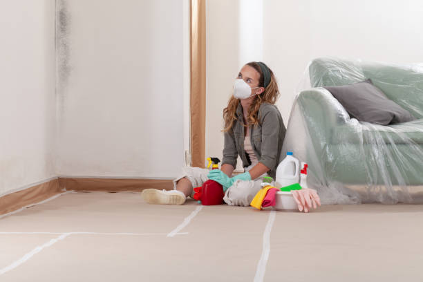 Reliable Attic Mold Remediation contractor in Westville, IL by Mold Remediation HQ
